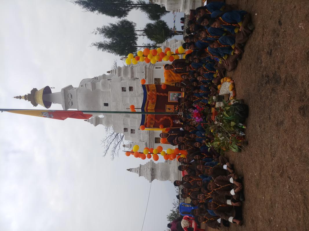 Plantation and mass cleaning