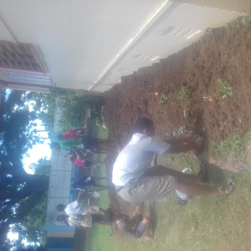 PLANT MORE TREES FOR A BETTER WORLD