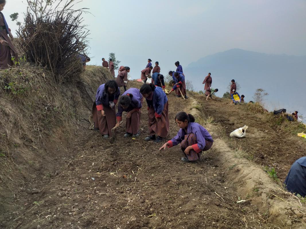 vegetable plantation training 