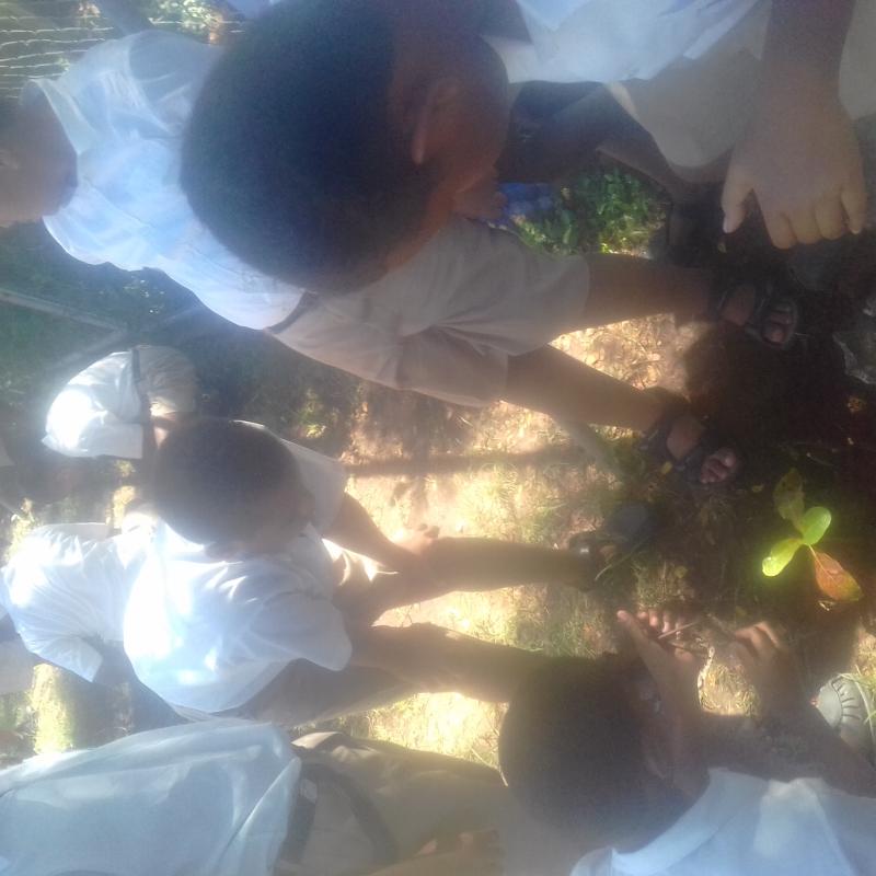 PLANT FOR A BETTER FUTURE