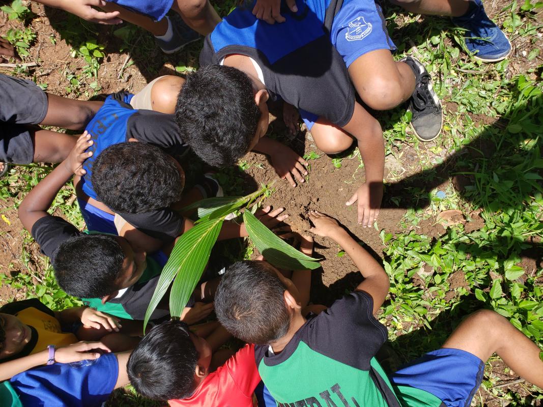 Plant a tree and save the earth