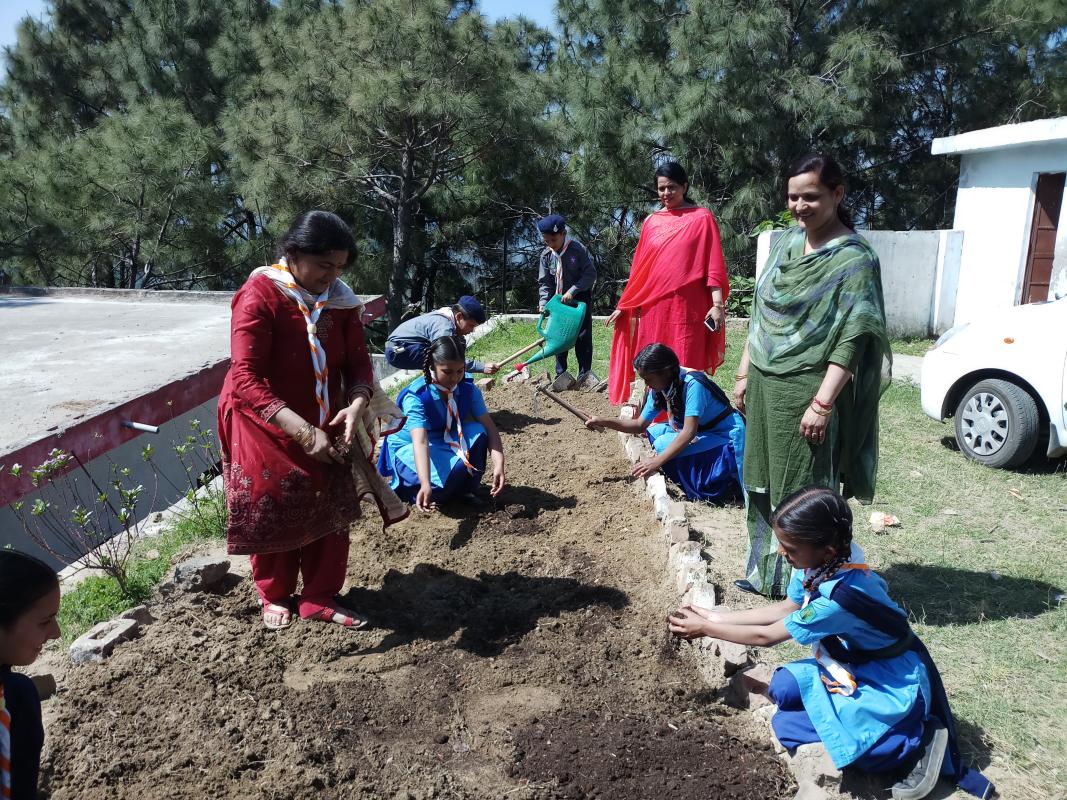 making of kitchen garden in school campus 