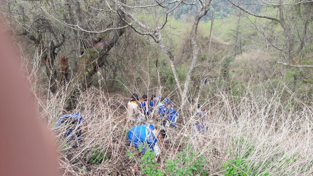 community service 