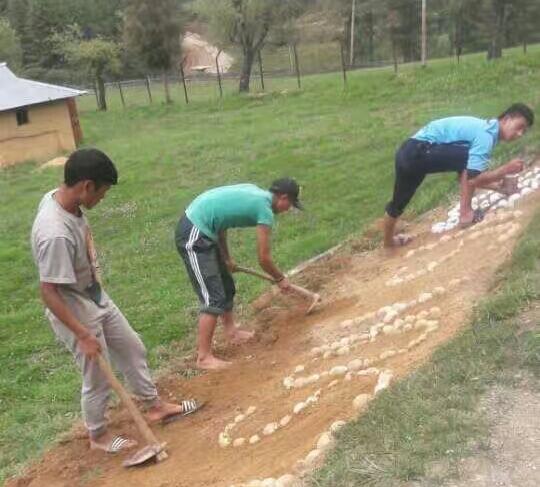 Preparation flower garden.