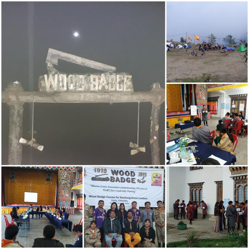 Centennial woodbadgers