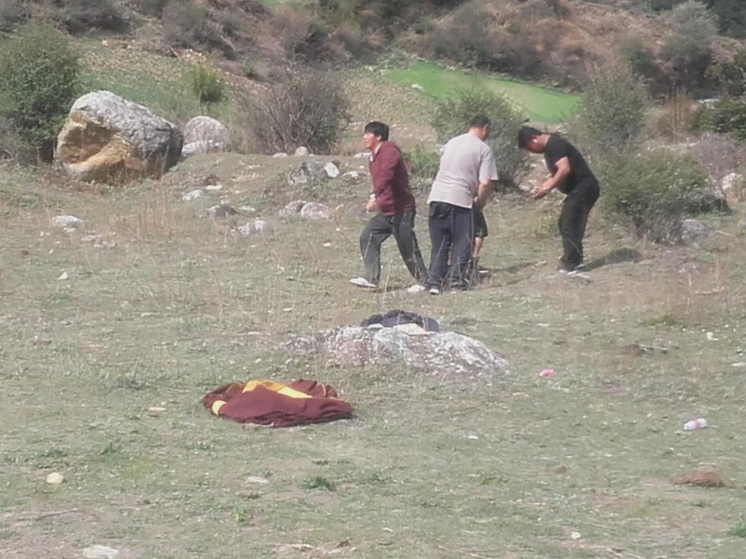 moiled leaves collection for the plantation