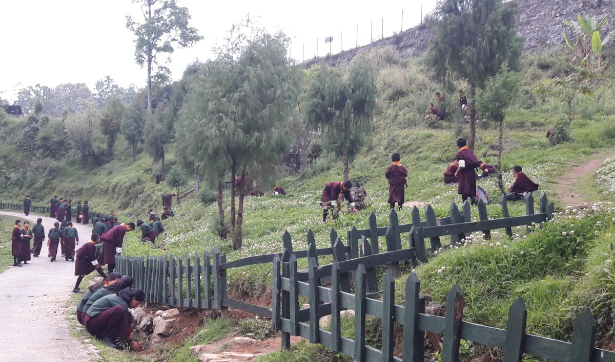School development (environment )