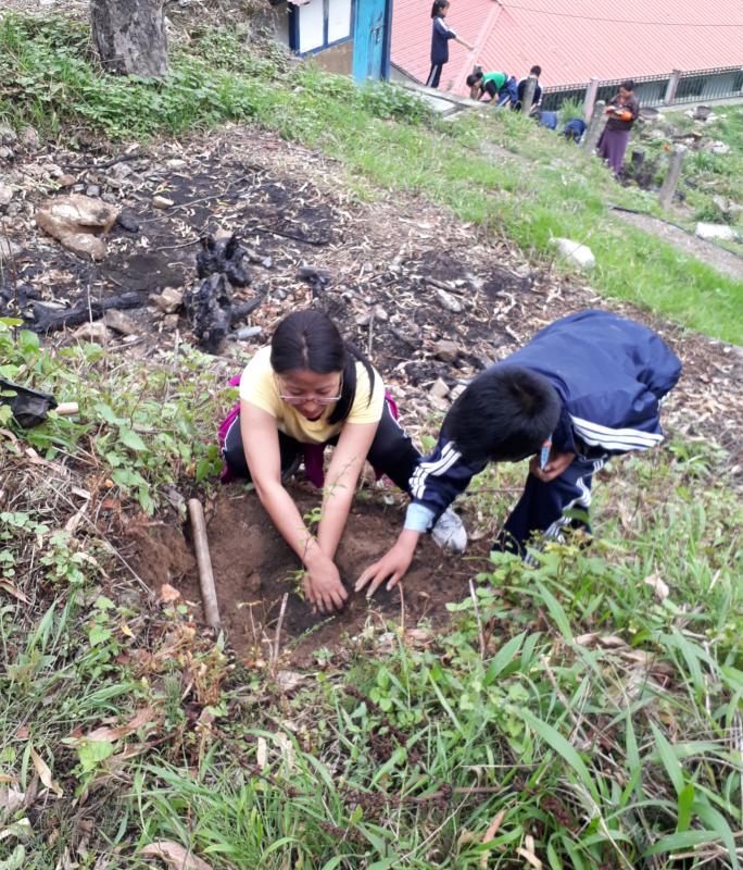 Plant to save nature