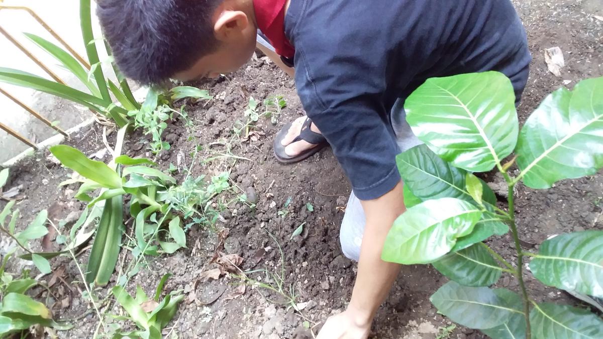 Cleaning Campaign