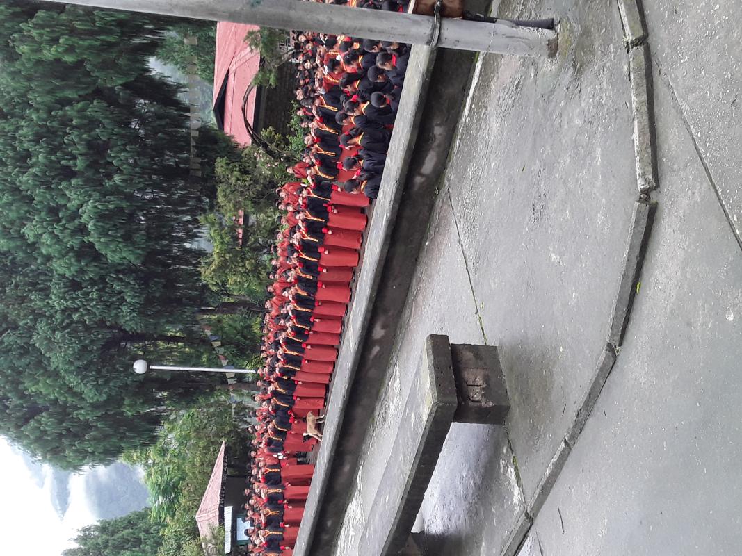 scout programme 