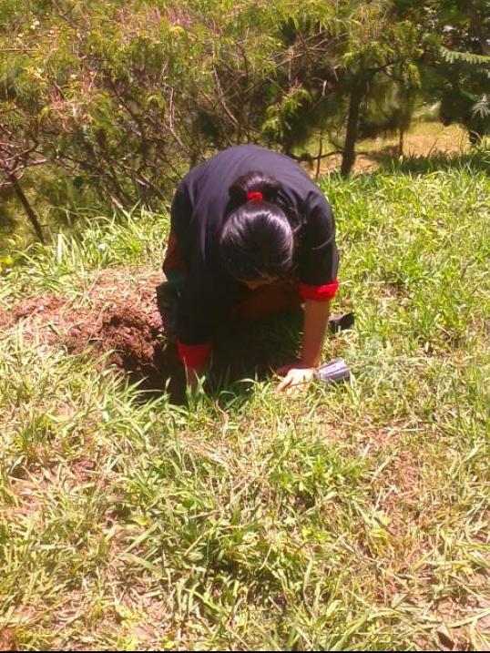 Social Forestry Day