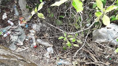 Taking responsibilities and fun activities