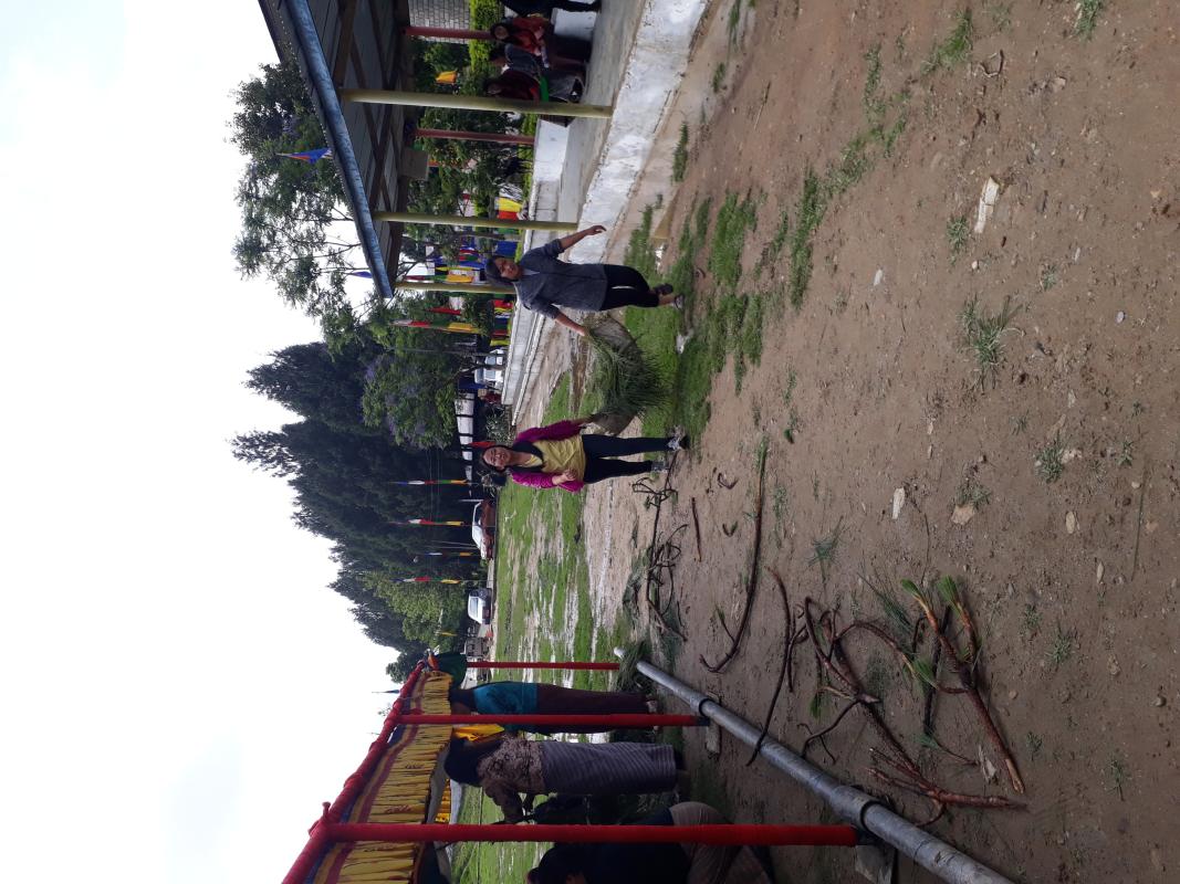 Peace is working together 