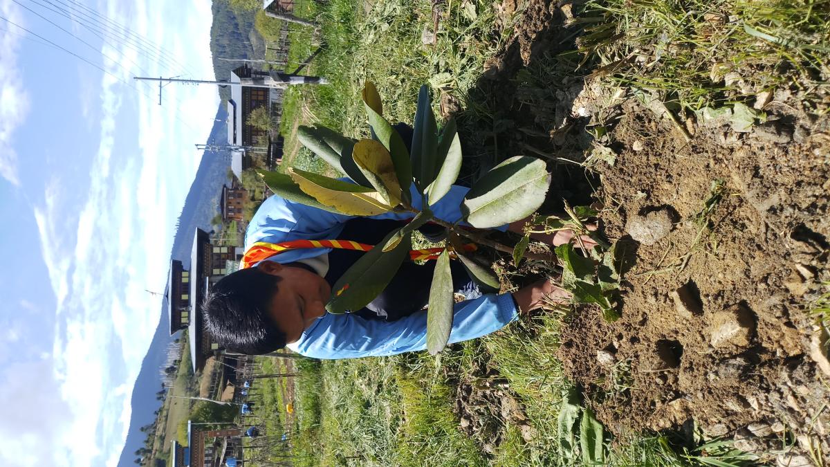 Planted trees to commemorate Social Forestry Day