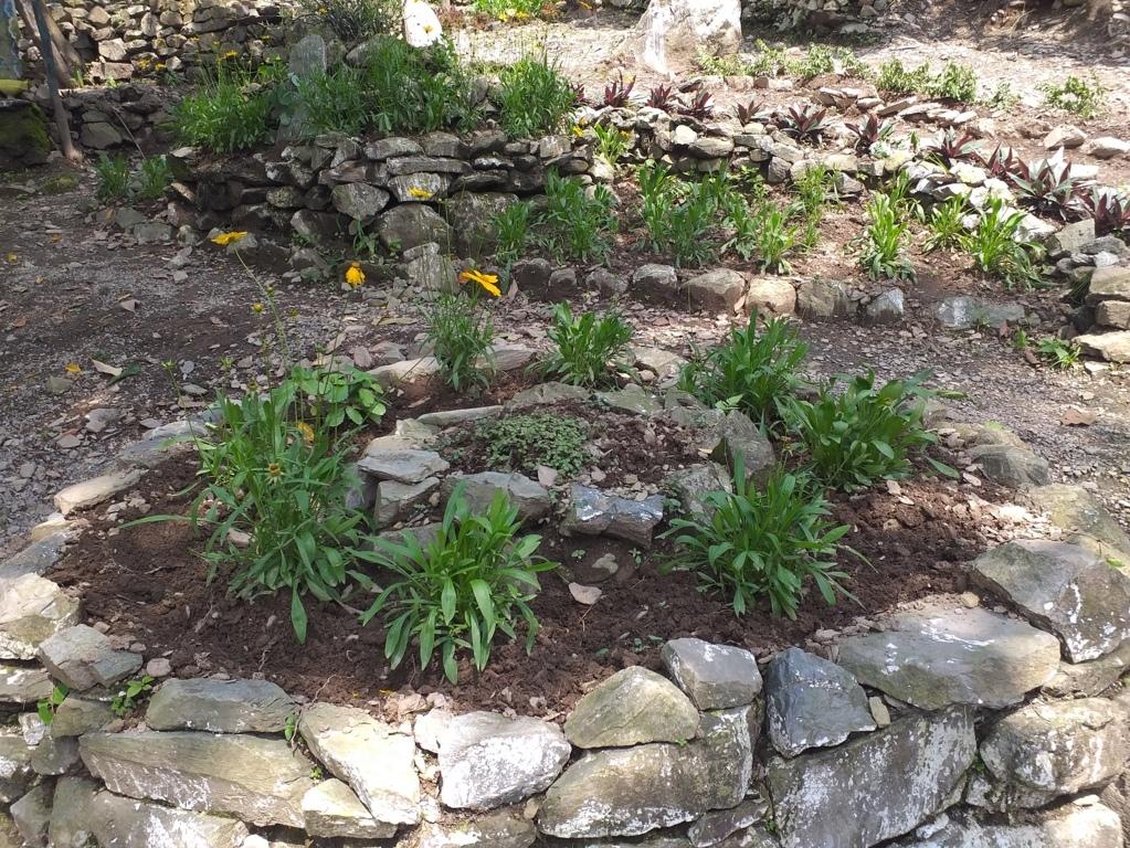 Preparation of flower Garden and continues maintenance 