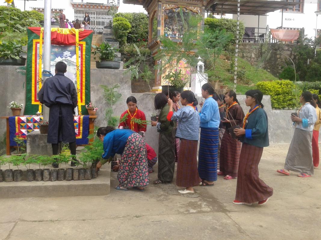 Save the nature for better future