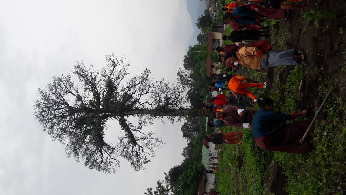 Social Forestry Day 