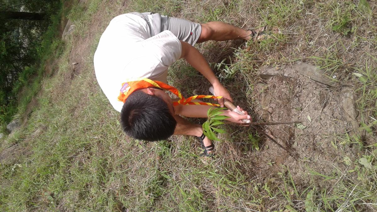 plantation on june 2nd 