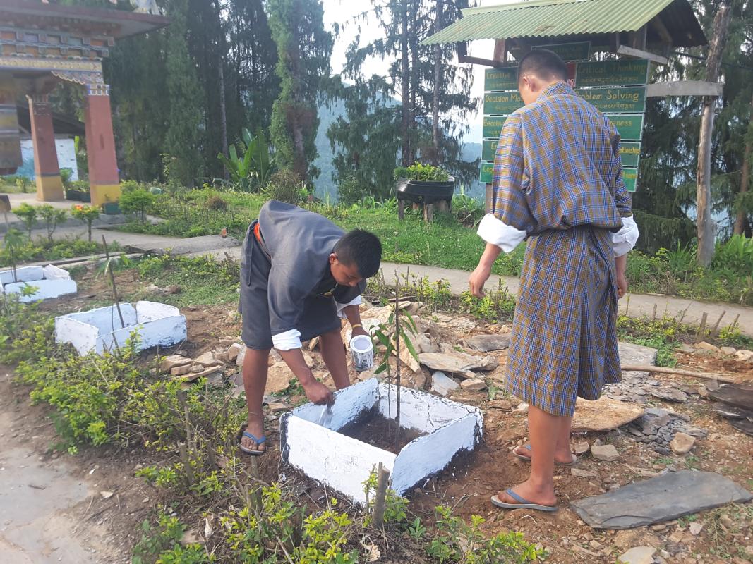 World enviroment day 5 june