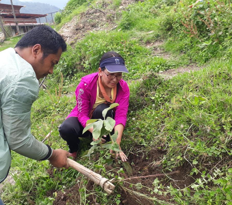 Peace through planting trees