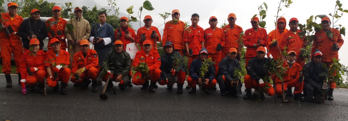 Increasing forest coverage 