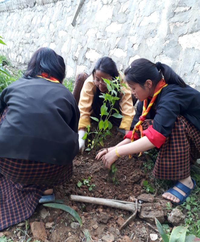 Planting to save environment 
