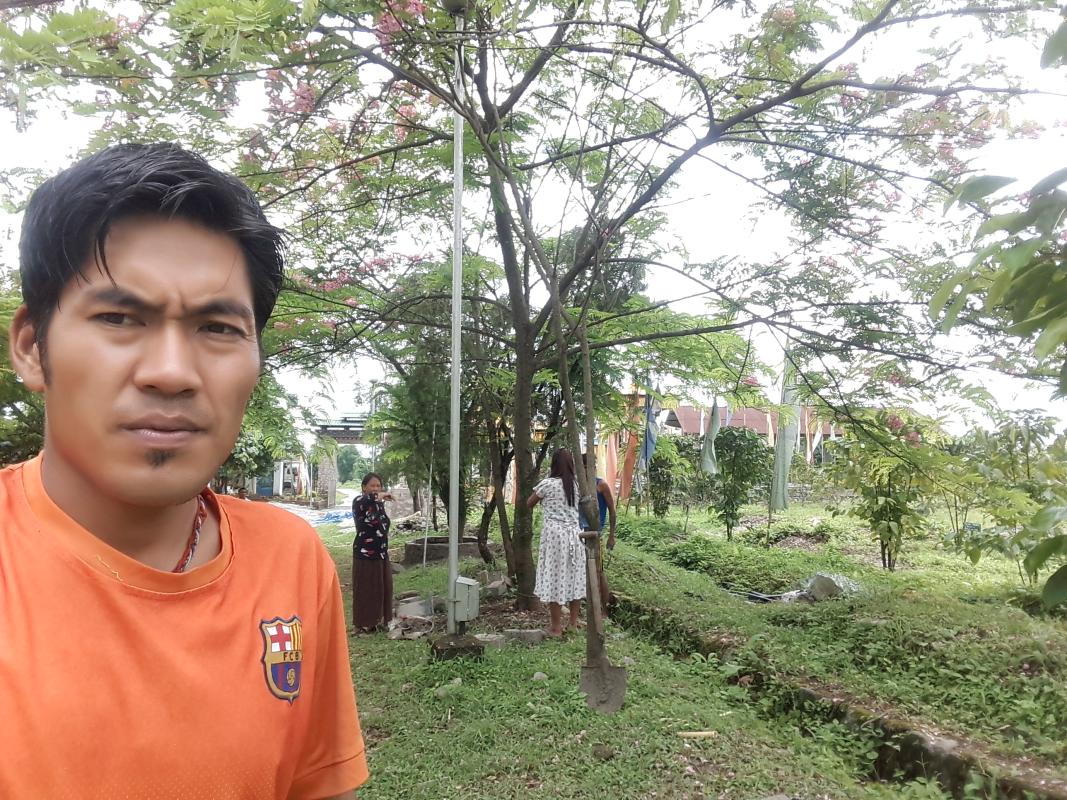 Making tree beds better with concrete wall