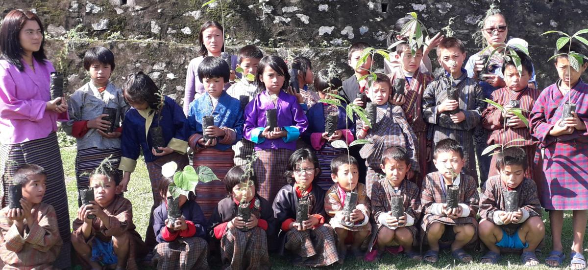 Plantation to beat air pollution 