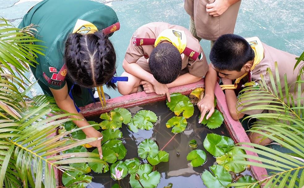Messengers of Peace Scouts Fight Dengue Project