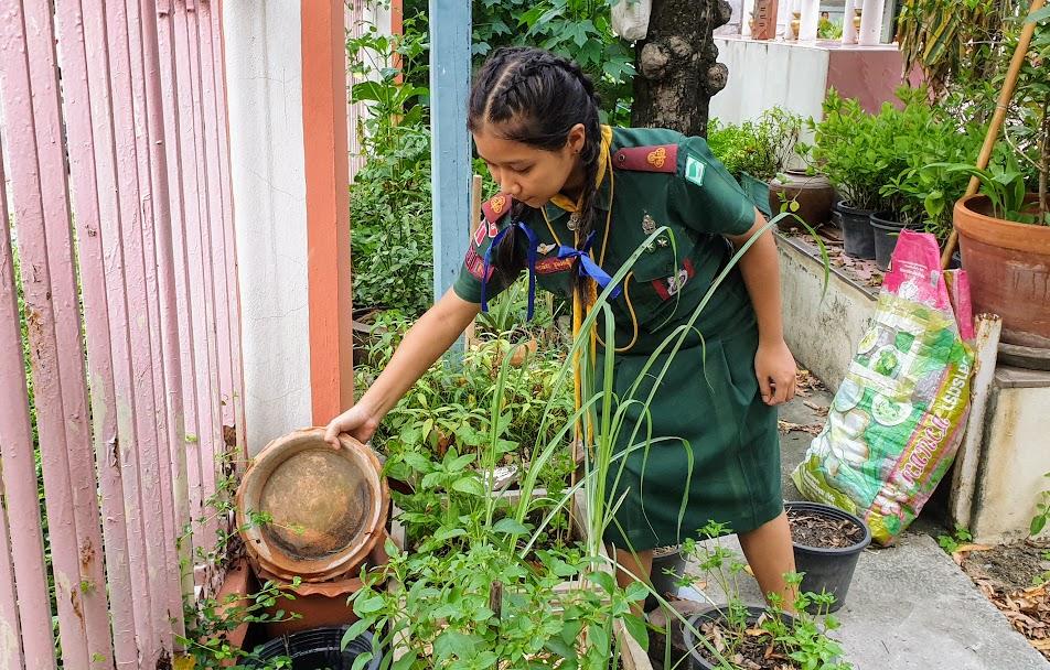 โครงการลูกเสือต้านภัยไข้เลือดออก