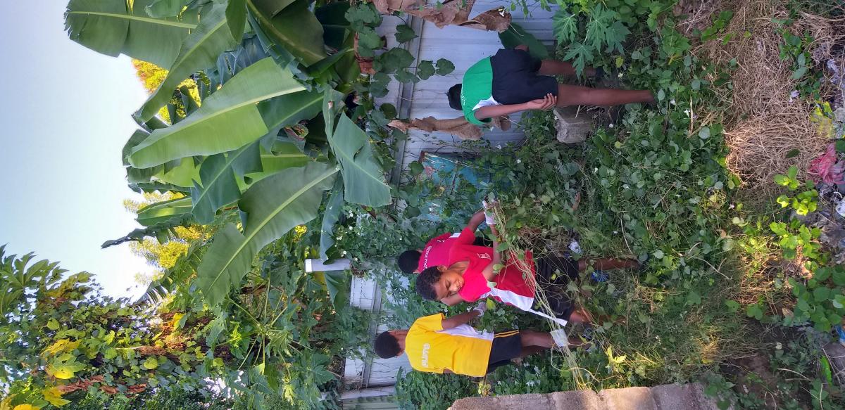 Clean - up : Scouts  project 