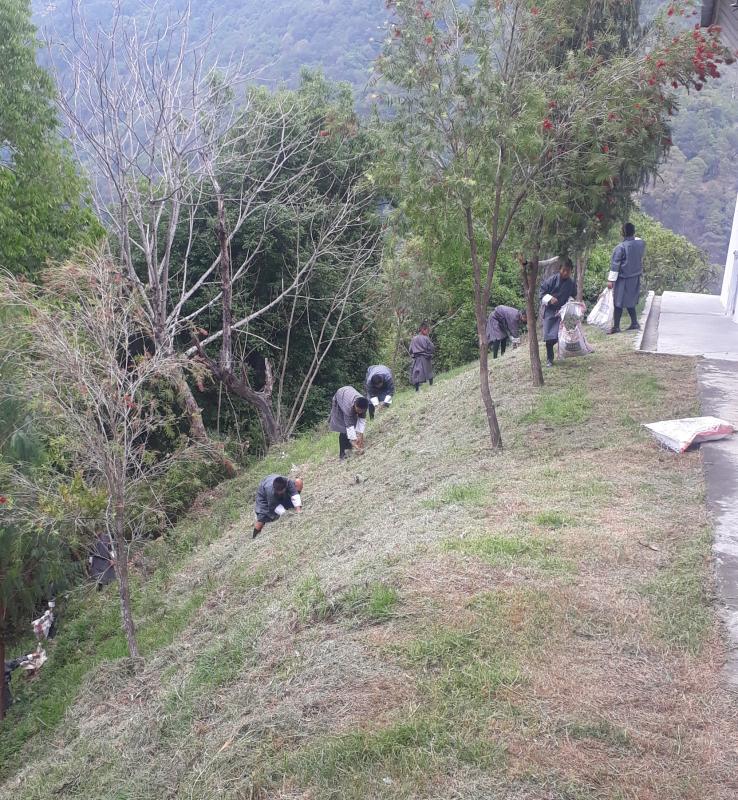 cleaning campaign