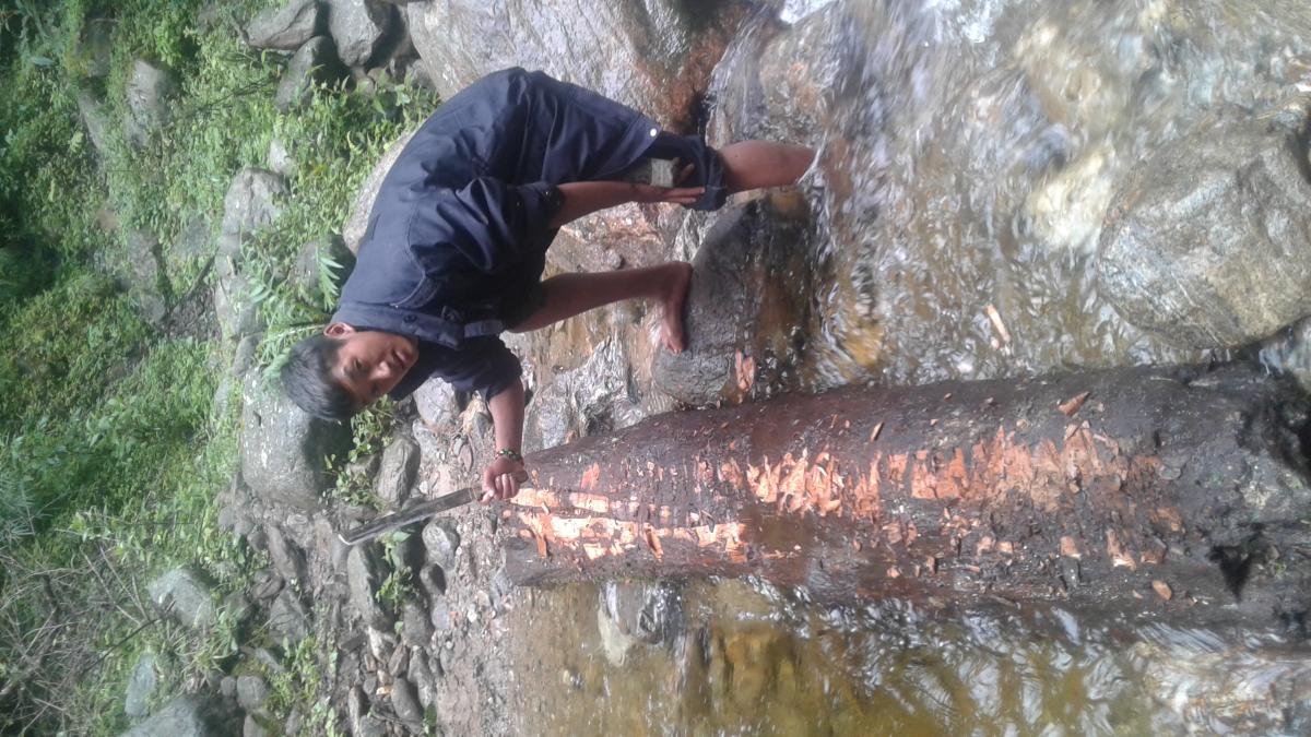 contribute small bridge to a community 