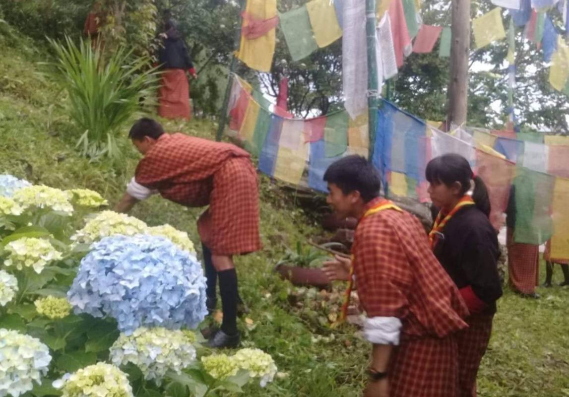 Scouts to observe 'Social Forestry Day'