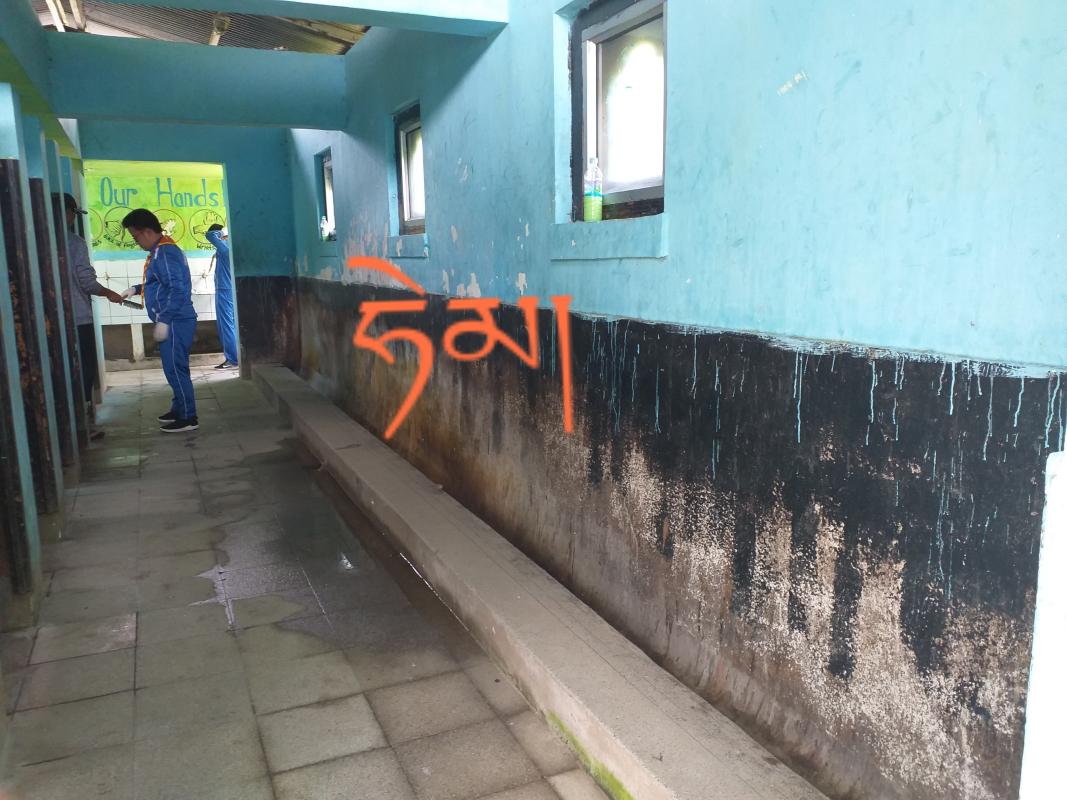 Painting and washing toilets 