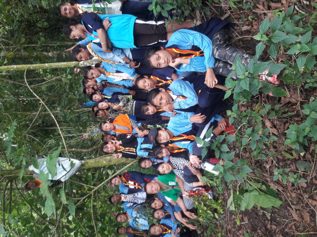 " Lets preserve natural medicine's "