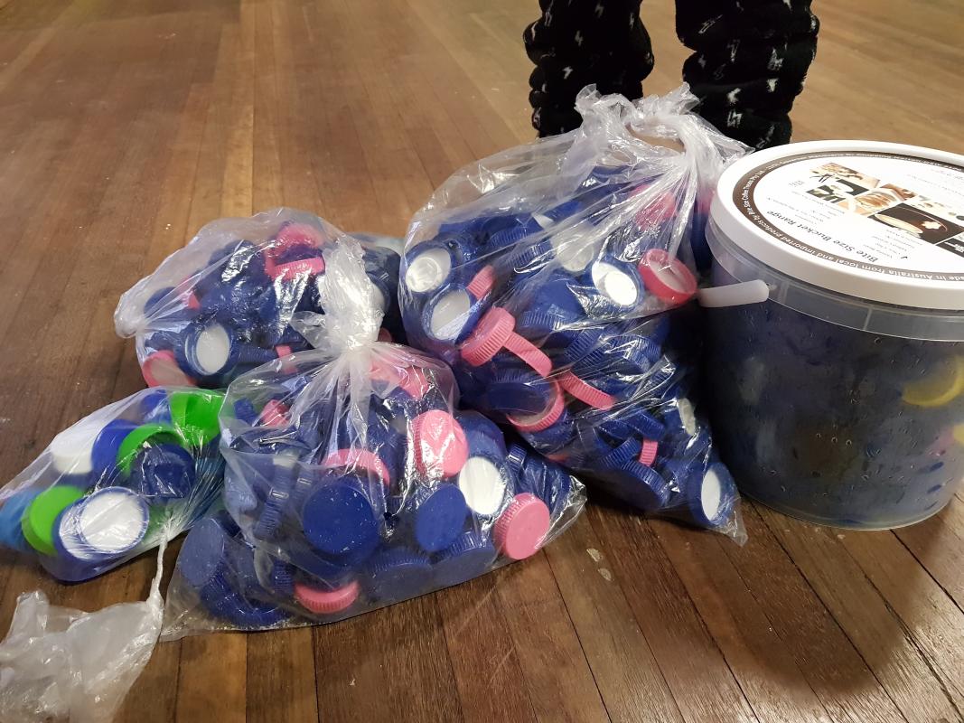 Grafton Cubs helping to create Helping Hands
