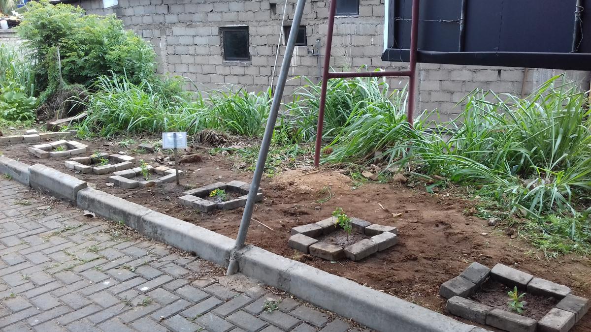 community project