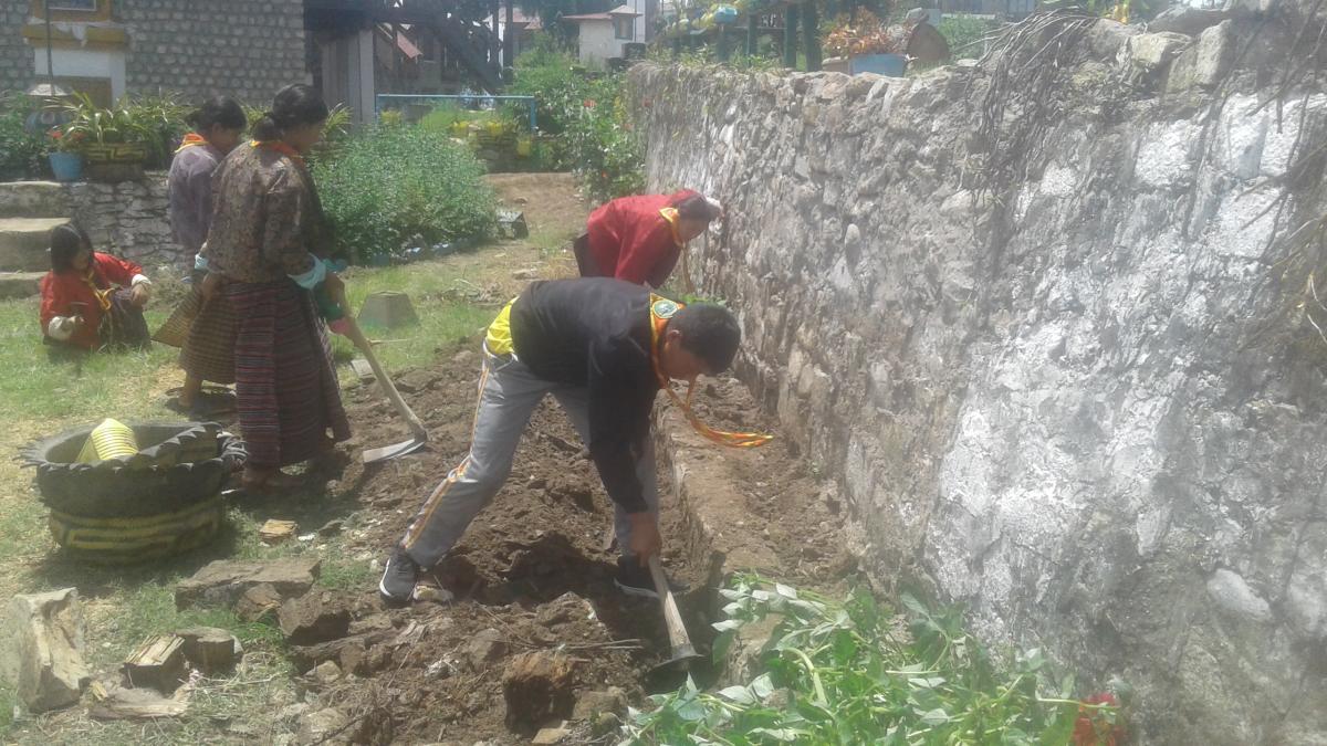 Maintaining garden