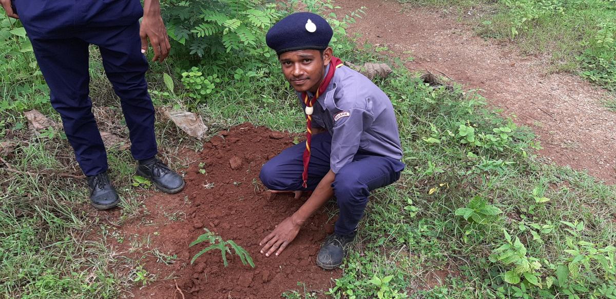 Tree on Global warming gone-1