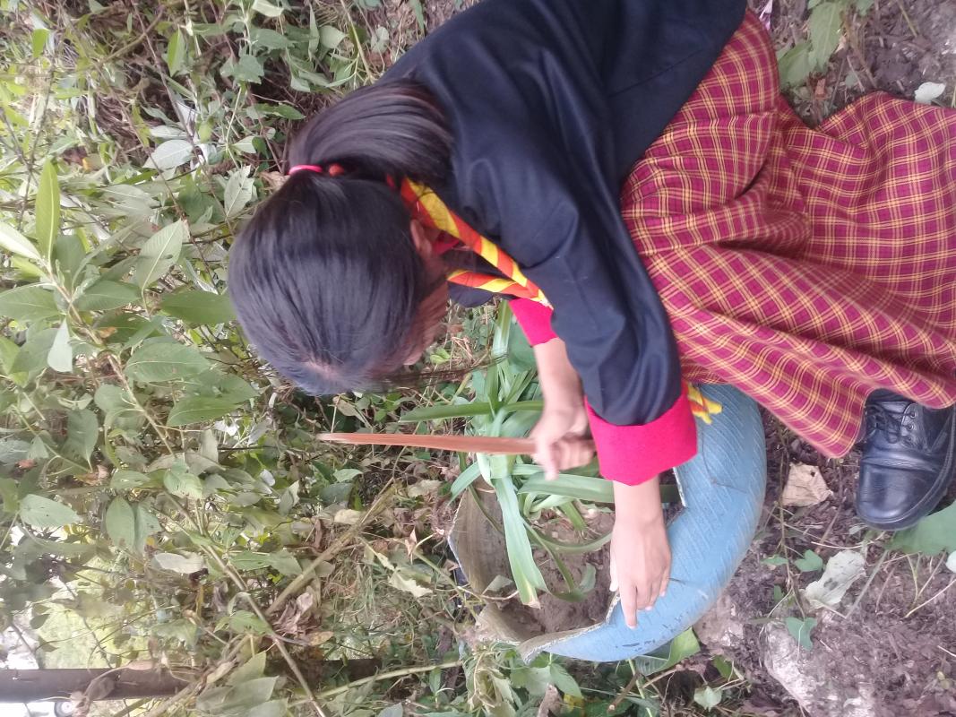 Beautifying our surrounding 