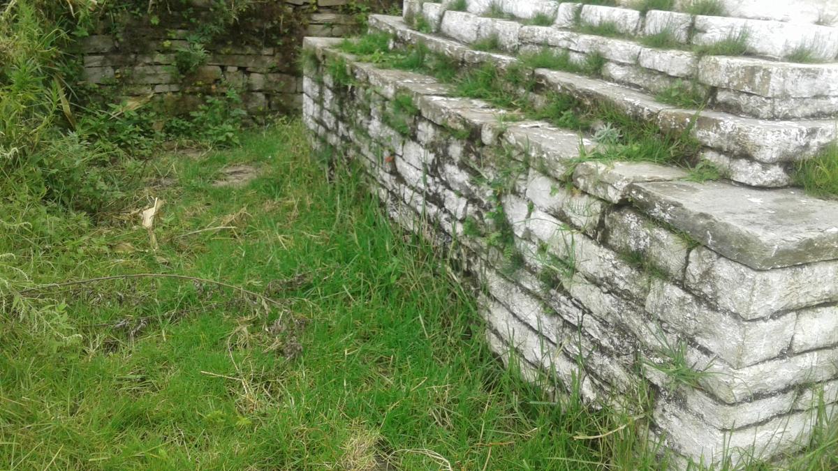 Clearing bushes and maintenence of flower garden at lagay