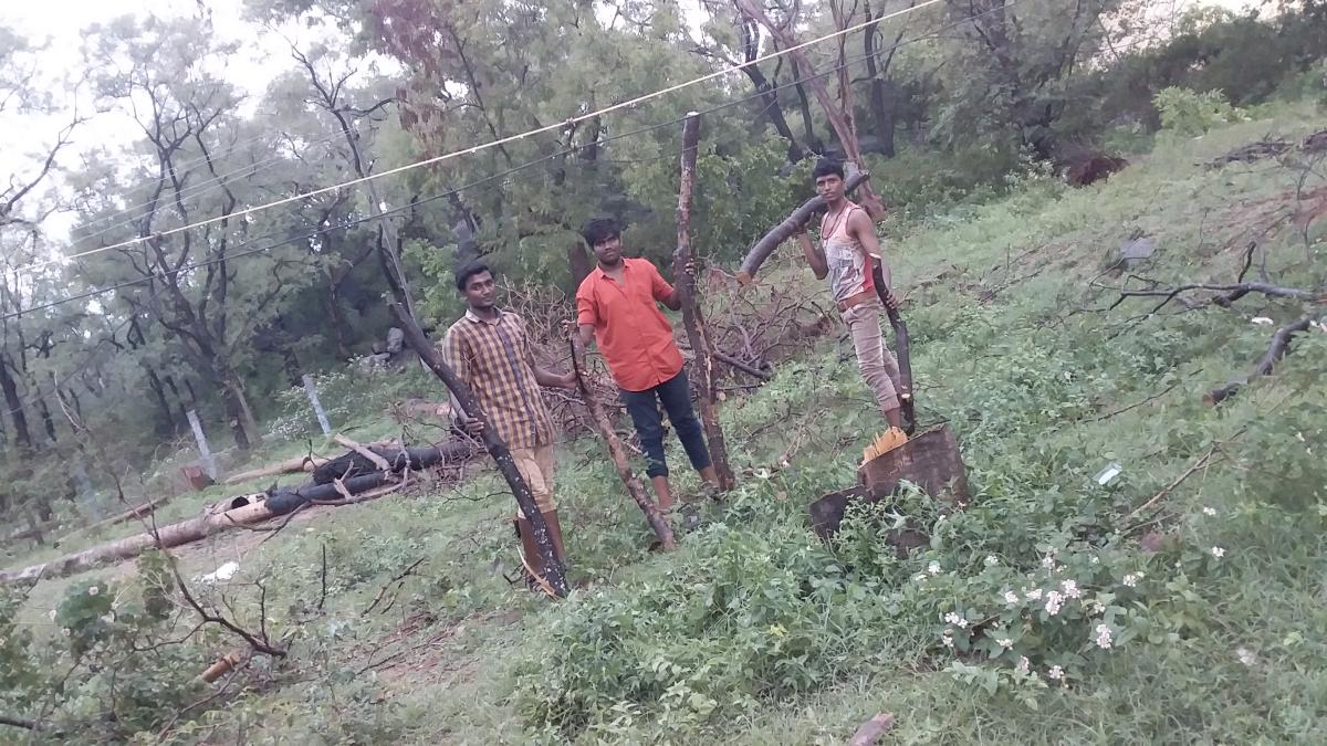 SERVICE FROM CAMPSITE 