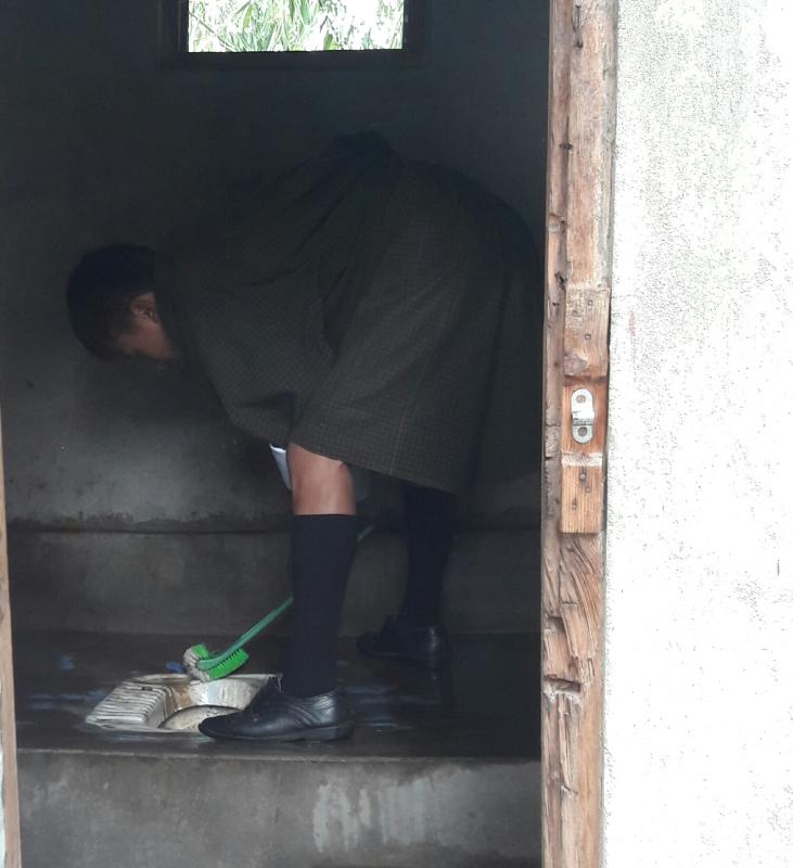 Mass Toilet cleaning 