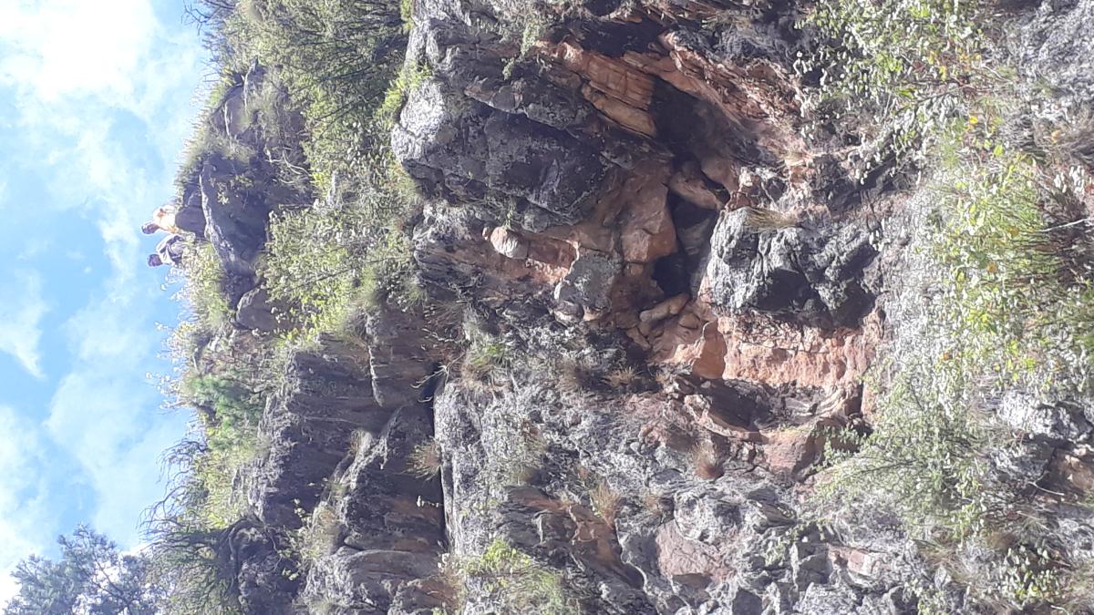 Hiking and refresher course for scout leaders 