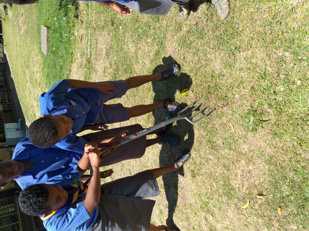 IDP-Tree Planting 