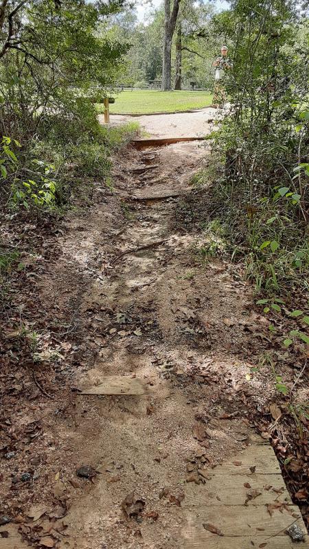 Improving the Trail Head of the Forest Trail