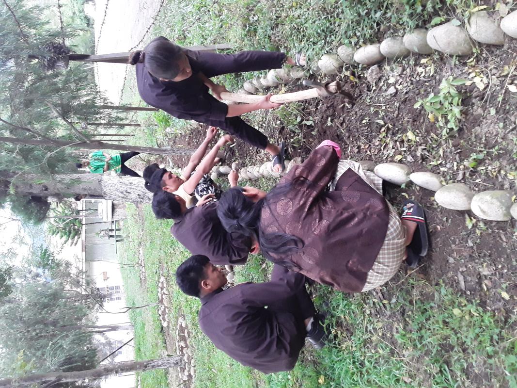 Beautifying our environments 