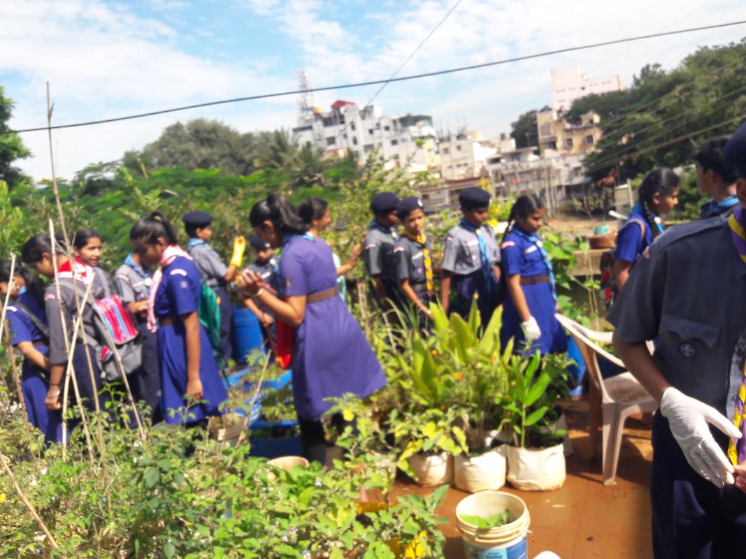 Swach Bharath Abhiyan And Planting Trees 