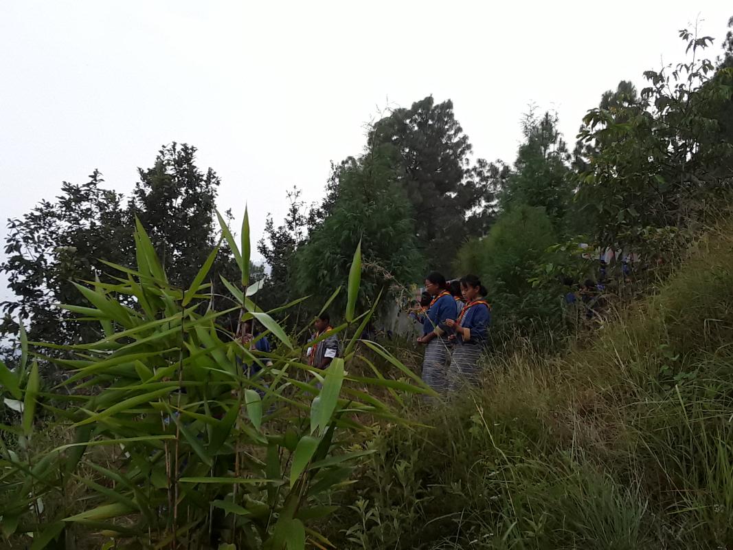 scouts modified their scout park